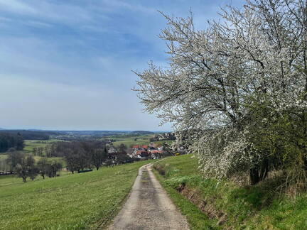 25-03-21 12-48-59 2489